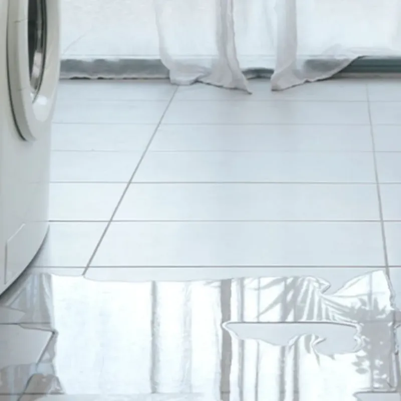 Appliance Leak Cleanup in Marion County, SC