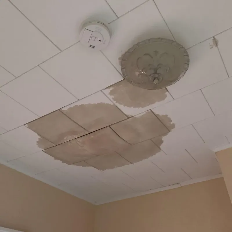 Ceiling Water Damage Repair in Marion County, SC