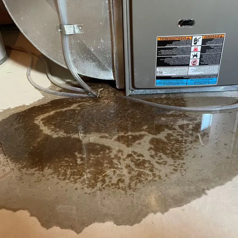 Pipe Burst and Leak Restoration in Marion County, SC