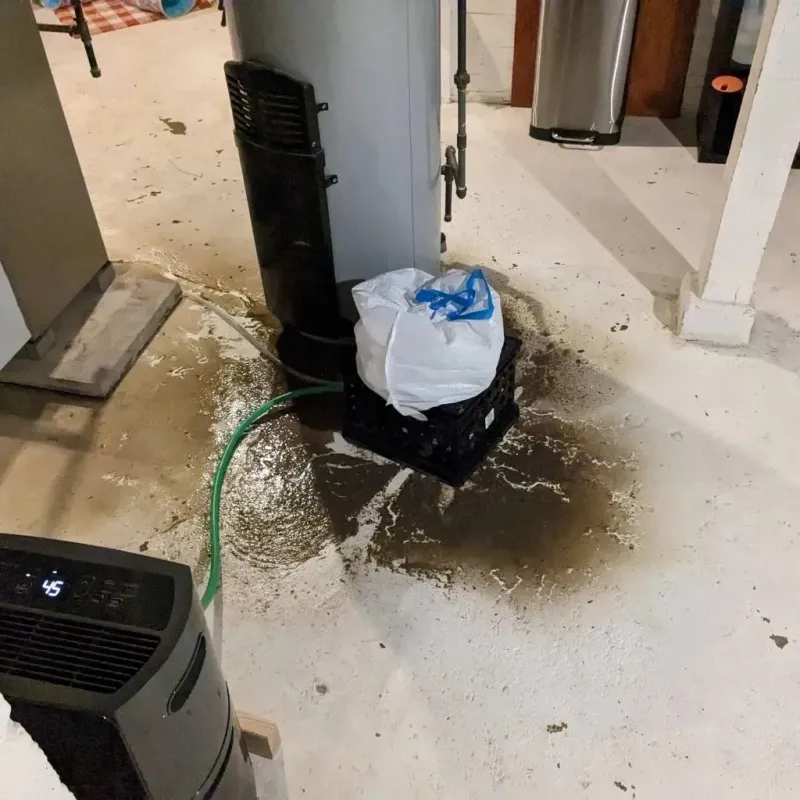 Sewage Backup Cleanup Service in Marion County, SC